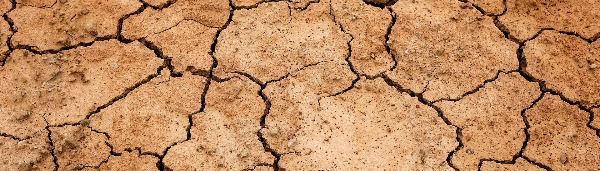 La sécheresse, un enjeu majeur dans la commune de Murs Vaucluse