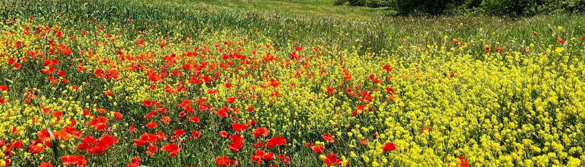 Retrouvez en image la commune de Murs dans le Vaucluse 84