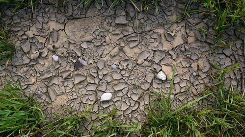 SECHERESSE PRAIRIE : INDEMNISATION
