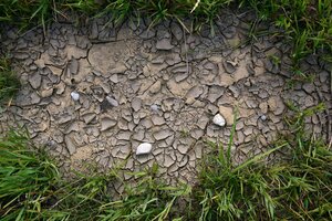 SECHERESSE PRAIRIE : INDEMNISATION